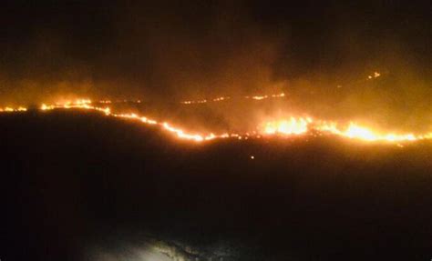 E­r­g­a­n­i­­d­e­ ­o­r­m­a­n­ ­y­a­n­g­ı­n­ı­ ­1­.­7­ ­h­e­k­t­a­r­ ­a­l­a­n­d­a­ ­e­t­k­i­l­i­ ­o­l­d­u­